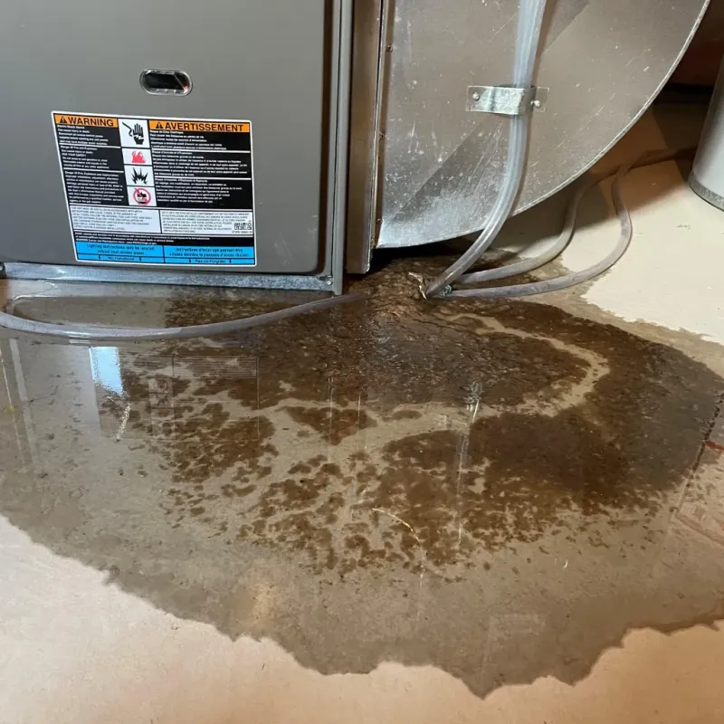 Appliance Leak Cleanup in Deltana, AK